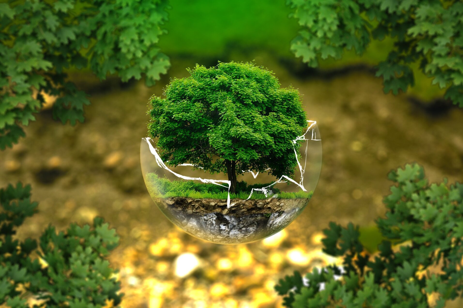 ISO 14001 - Grundlagen Umweltmanagement